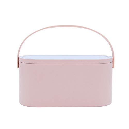 AMYESE 2024 Makeup Case with Mirror, Portable Cosmetics Box with LED Lighted Mirror for Bedroom, Travel, Multi-purpose Makeup Organizer Carrying Storage Case, Travel Size, Gift for Mom Ladies Girls